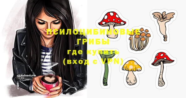 соль курить ск Абаза
