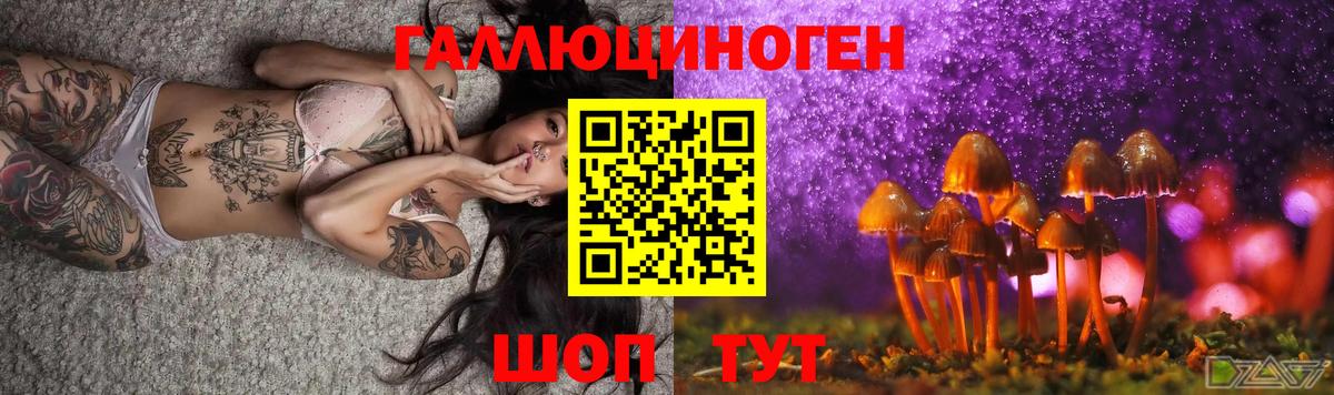 Нижнекамск  Галлюциногенные грибы Psilocybe  Галлюциногенные грибы прущие грибы  купить наркотики сайты  Вход с VPN 